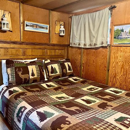 Mt Rainier Little Green Cabin On Big Creek! 阿什福德 外观 照片