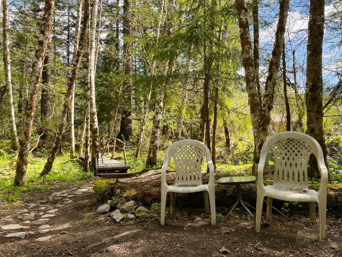 Mt Rainier Little Green Cabin On Big Creek! 阿什福德 外观 照片