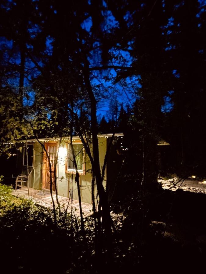 Mt Rainier Little Green Cabin On Big Creek! 阿什福德 外观 照片
