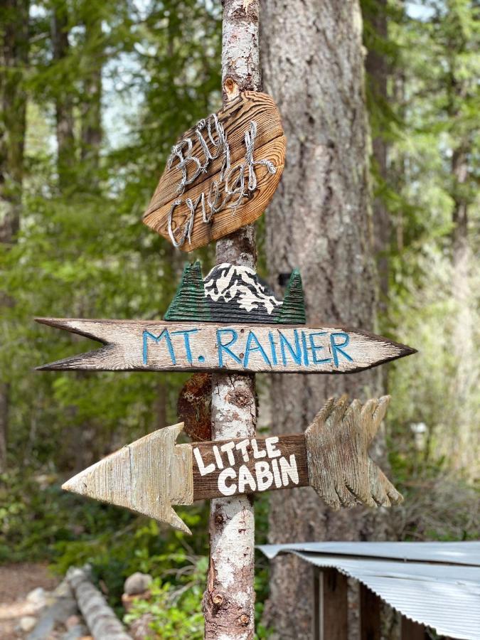 Mt Rainier Little Green Cabin On Big Creek! 阿什福德 外观 照片