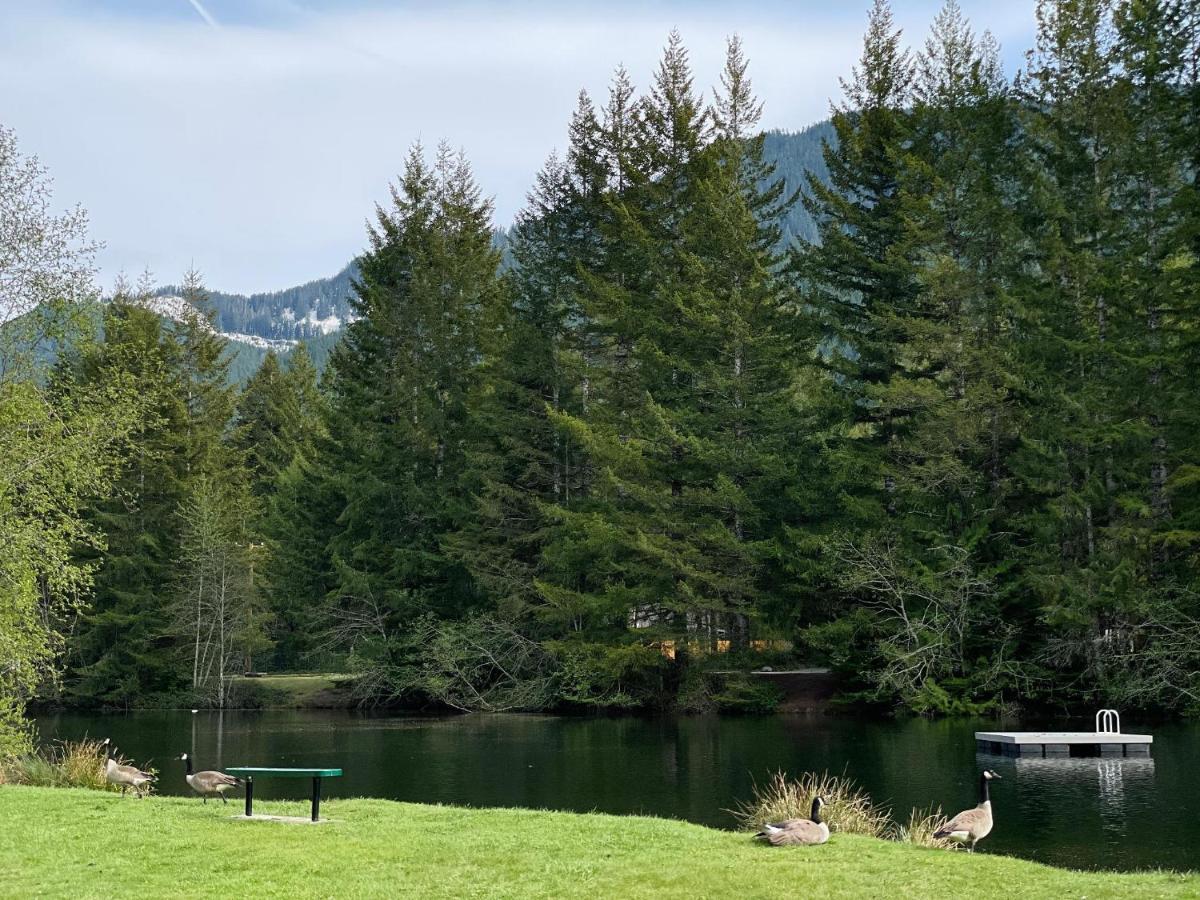 Mt Rainier Little Green Cabin On Big Creek! 阿什福德 外观 照片