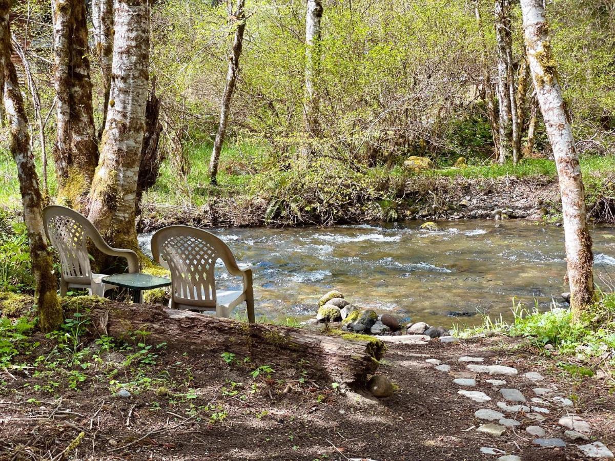 Mt Rainier Little Green Cabin On Big Creek! 阿什福德 外观 照片