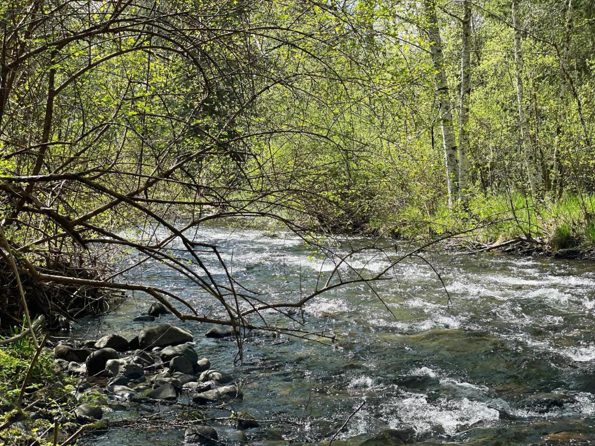 Mt Rainier Little Green Cabin On Big Creek! 阿什福德 外观 照片