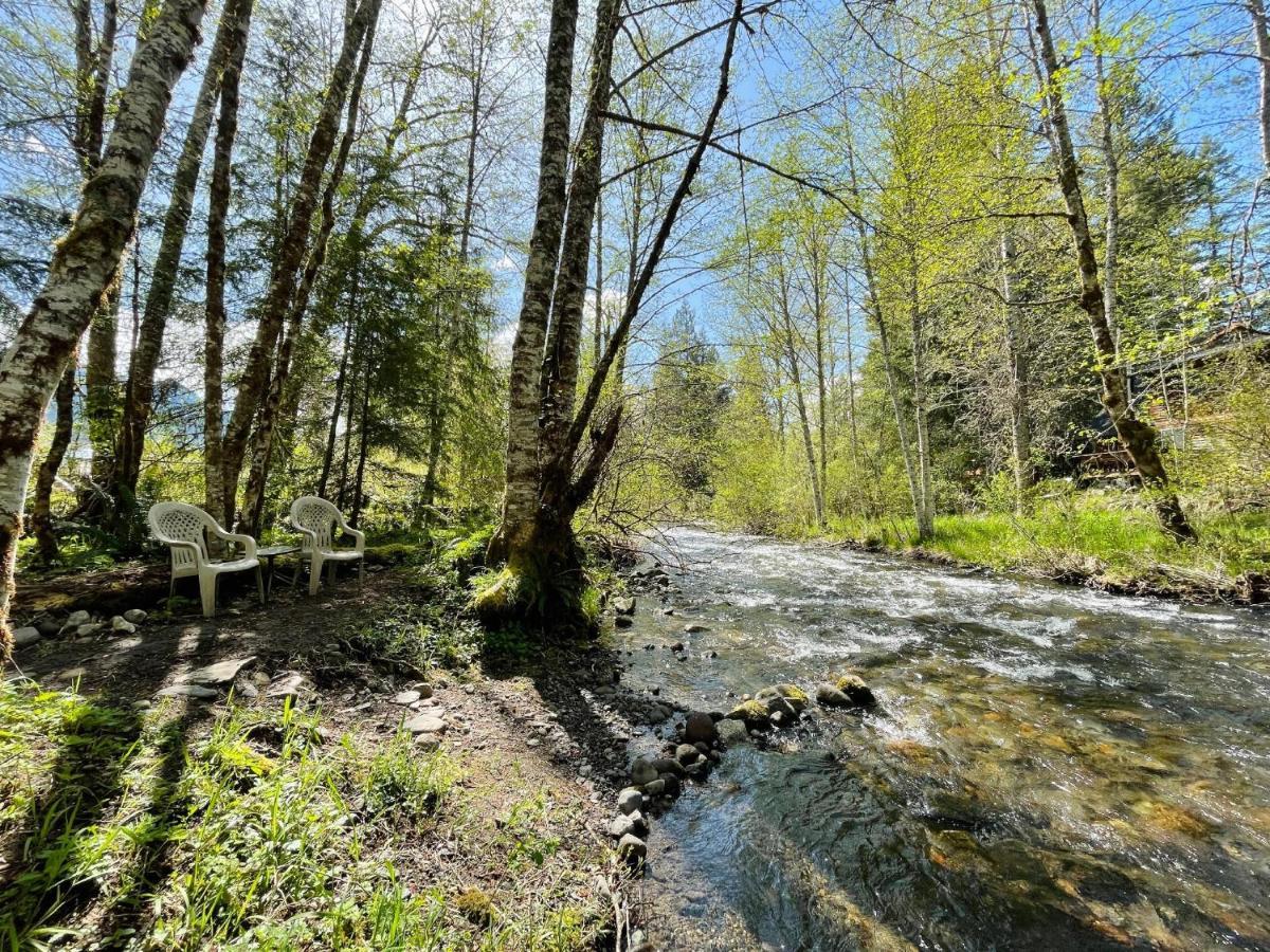 Mt Rainier Little Green Cabin On Big Creek! 阿什福德 外观 照片