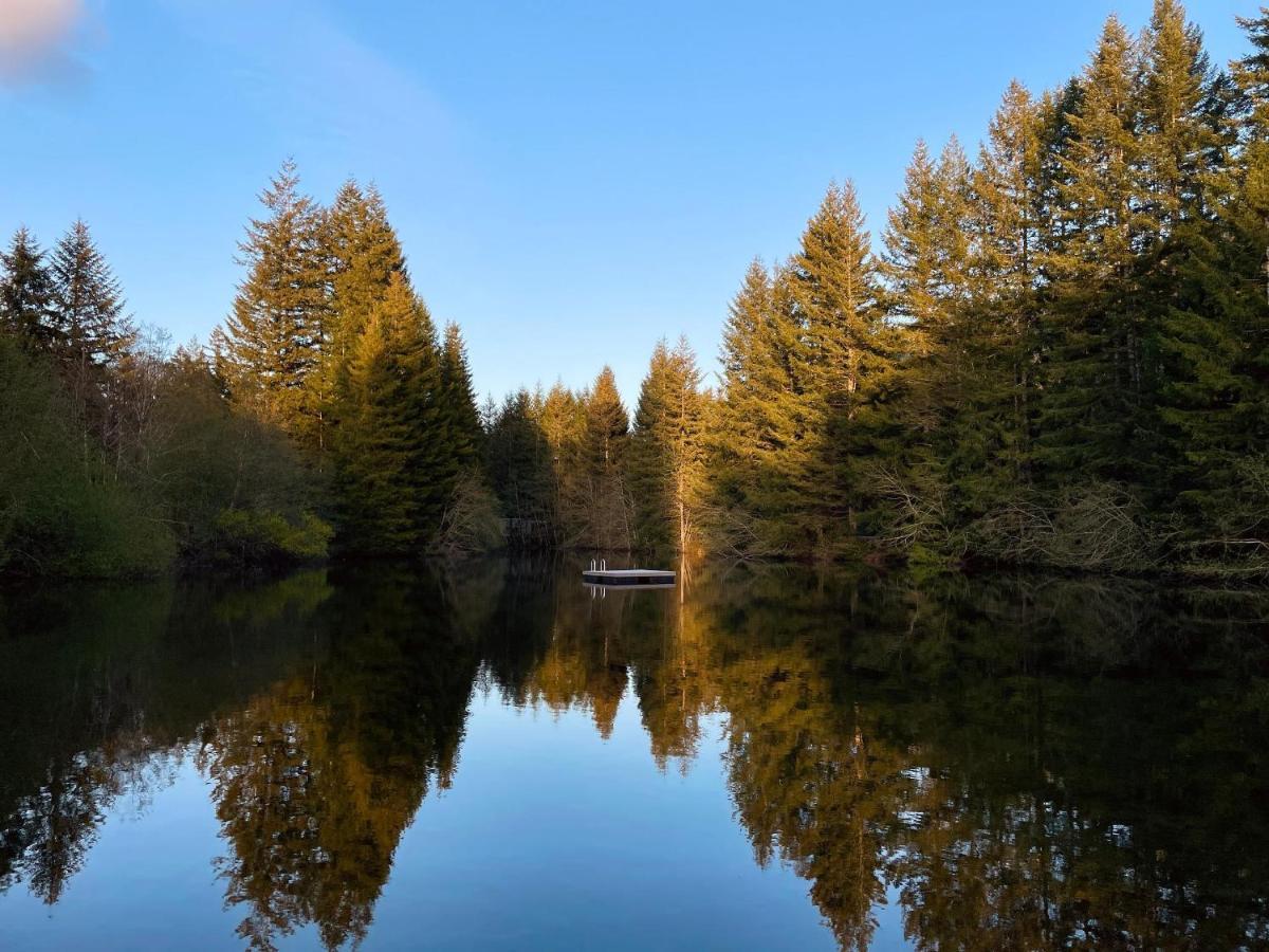 Mt Rainier Little Green Cabin On Big Creek! 阿什福德 外观 照片