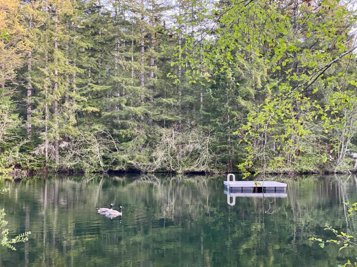 Mt Rainier Little Green Cabin On Big Creek! 阿什福德 外观 照片