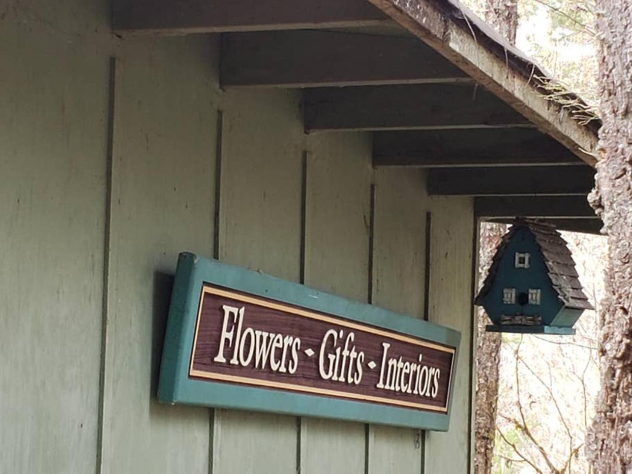 Mt Rainier Little Green Cabin On Big Creek! 阿什福德 外观 照片